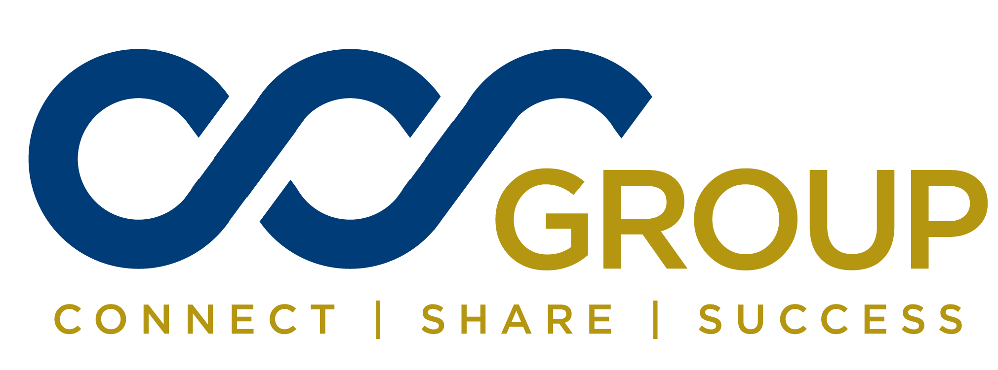 Công ty Cổ phần Tập đoàn CSS Việt Nam